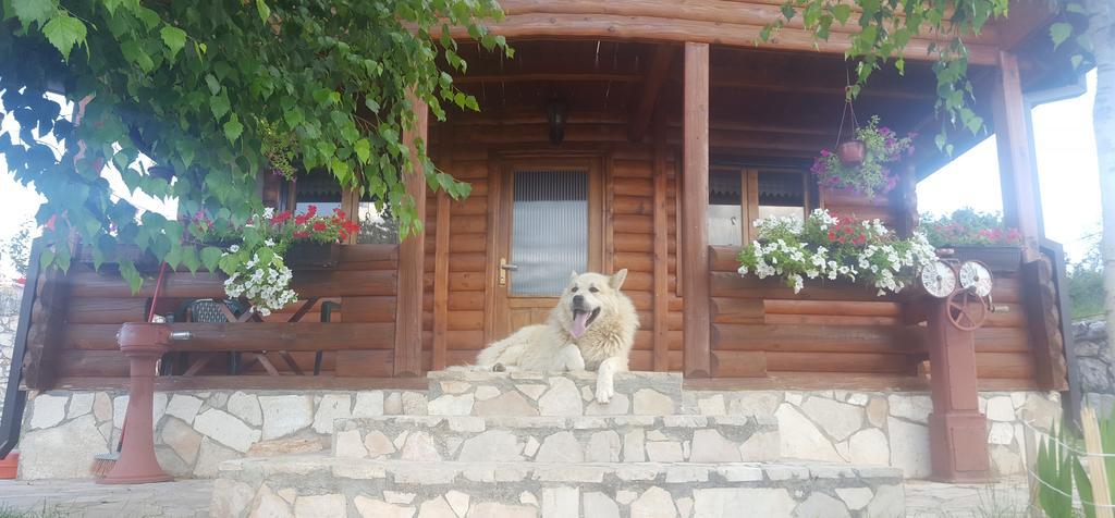 Holiday Home Zoric Nikšić Bagian luar foto